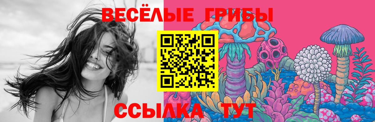 Галлюциногенные грибы ЛСД Углич