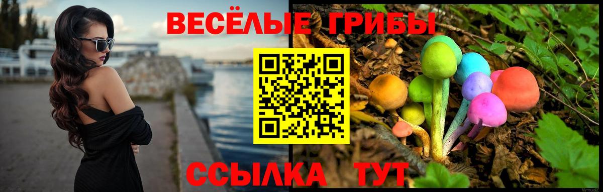 Псилоцибиновые грибы Cubensis  Вход с VPN  Углич 